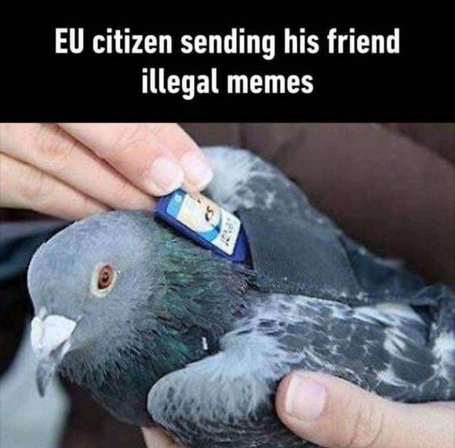 EU illegal meme